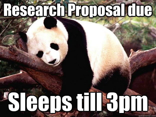 Research Proposal due Sleeps till 3pm  Procrastination Panda