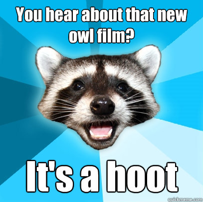 You hear about that new owl film? It's a hoot  Lame Pun Coon