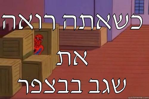 שגב שגב - כשאתה רואה  את שגב בבצפר Misc