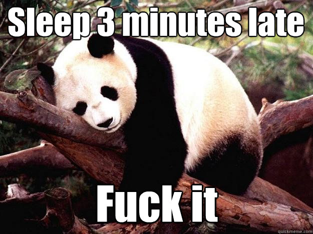 Sleep 3 minutes late Fuck it  Procrastination Panda