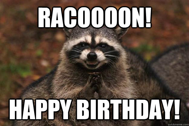 Racoooon! Happy birthday!  Evil Plotting Raccoon