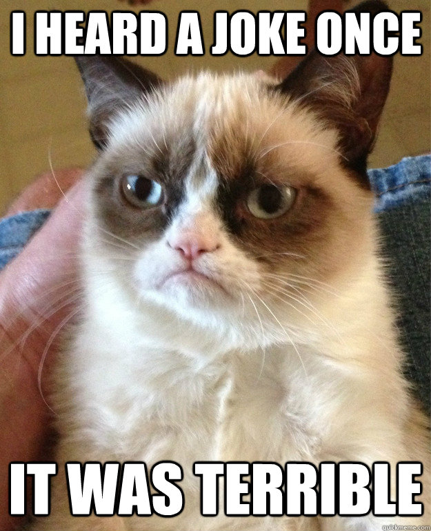 i heard a joke once it was terrible  Grumpy Cat