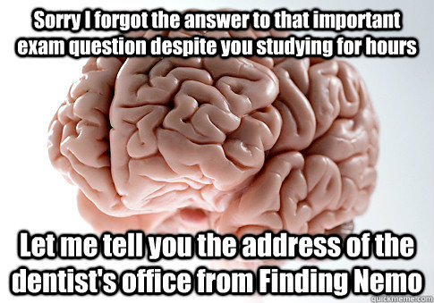 Sorry I forgot the answer to that important exam question despite you studying for hours Let me tell you the address of the dentist's office from Finding Nemo  Scumbag Brain