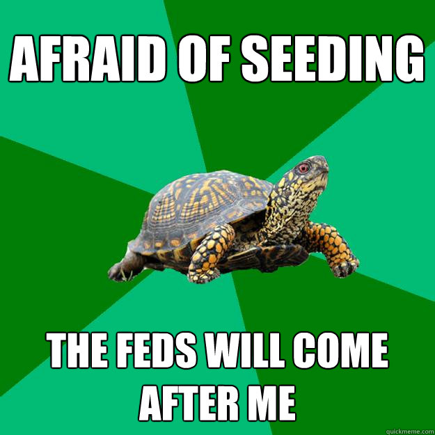 afraid of seeding the feds will come after me  Torrenting Turtle