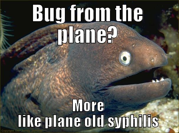 BUG FROM THE PLANE? MORE LIKE PLANE OLD SYPHILIS Bad Joke Eel