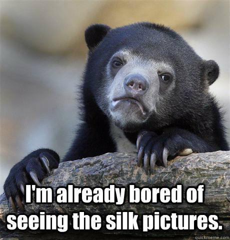  I'm already bored of seeing the silk pictures.  Confession Bear