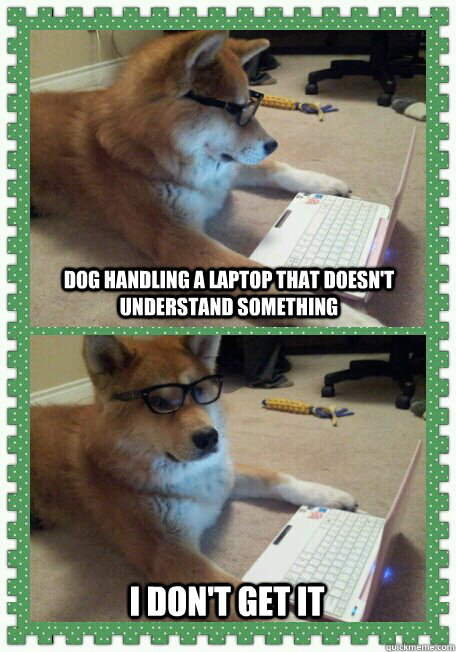 dog handling a laptop that doesn't understand something I don't get it  hello