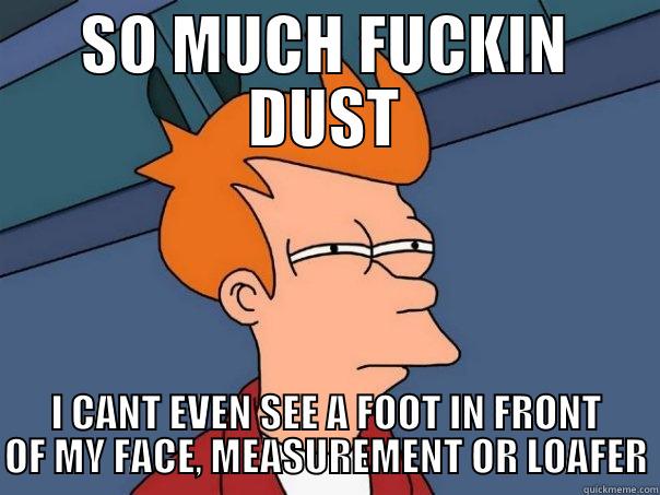 SO MUCH FUCKIN DUST I CANT EVEN SEE A FOOT IN FRONT OF MY FACE, MEASUREMENT OR LOAFER Futurama Fry