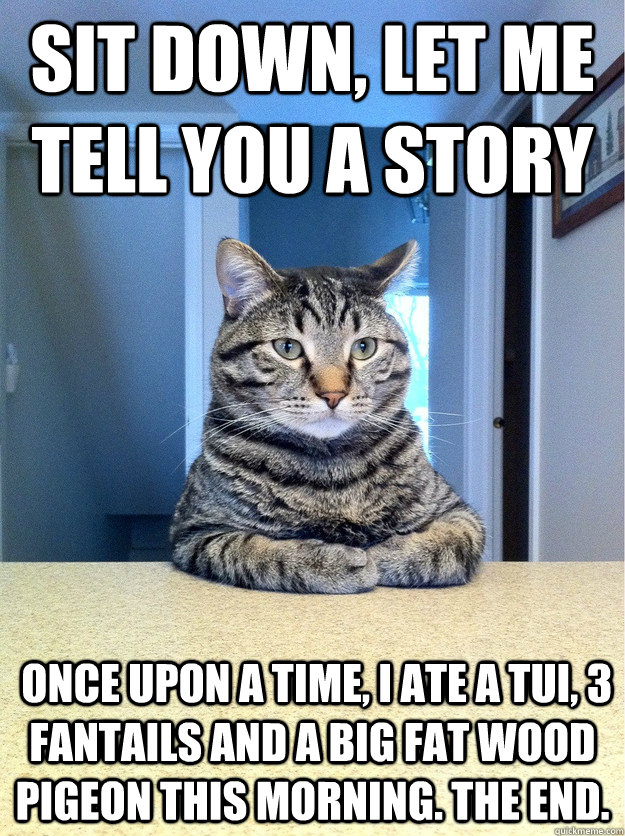 Sit down, let me tell you a story  ONce upon a time, i ate a tui, 3 fantails and a big fat wood pigeon this morning. The End.  Chris Hansen Cat