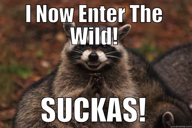 I NOW ENTER THE WILD! SUCKAS! Evil Plotting Raccoon