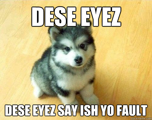 Dese Eyez DESE EYEZ SAY ISH YO FAULT  Baby Courage Wolf