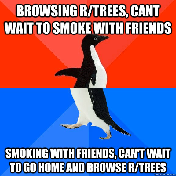 Browsing r/trees, cant wait to smoke with friends smoking with friends, can't wait to go home and browse r/trees  Socially Awesome Awkward Penguin