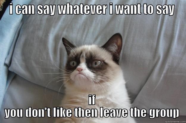 I CAN SAY WHATEVER I WANT TO SAY IF YOU DON'T LIKE THEN LEAVE THE GROUP Grumpy Cat