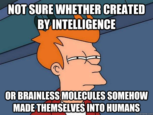 Not sure whether created by intelligence Or brainless molecules somehow made themselves into humans  Futurama Fry