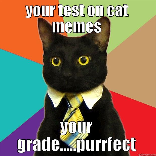 YOUR TEST ON CAT MEMES YOUR GRADE.....PURRFECT Business Cat