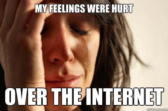 My feelings were hurt over the internet  First World Problems