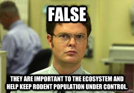 FALSE They are important to the ecosystem and help keep rodent population under control.  Dwight False