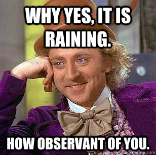 Why yes, it is raining. How observant of you.  Condescending Wonka