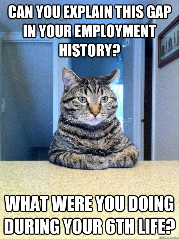 Can you explain this gap in your employment history? What were you doing during your 6th life? - Can you explain this gap in your employment history? What were you doing during your 6th life?  Chris Hansen Cat