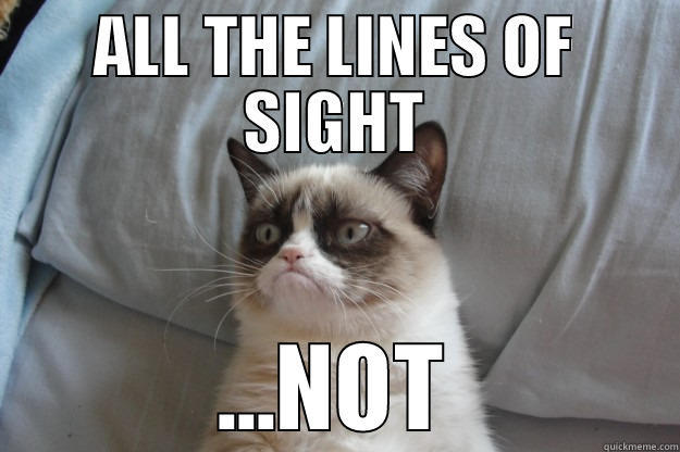 ALL THE LINES OF SIGHT ...NOT Grumpy Cat