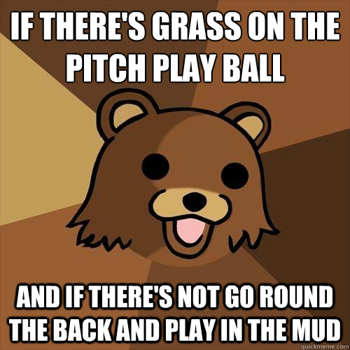 If there's grass on the pitch play ball and if there's not go round the back and play in the mud - If there's grass on the pitch play ball and if there's not go round the back and play in the mud  Pedobear