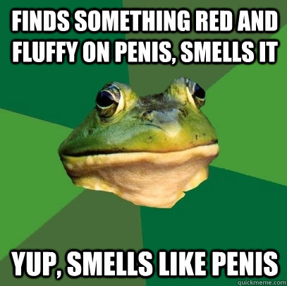 Finds something red and fluffy on penis, smells it Yup, smells like penis  Foul Bachelor Frog