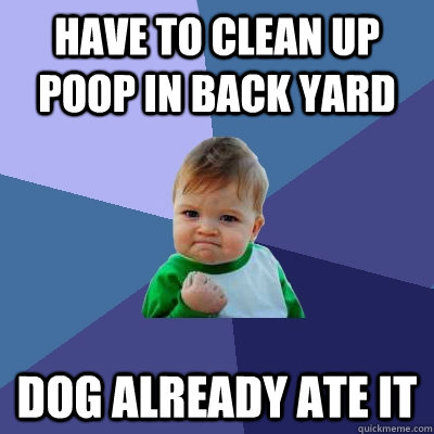 Have to clean up poop in back yard Dog already ate it - Have to clean up poop in back yard Dog already ate it  Success Kid