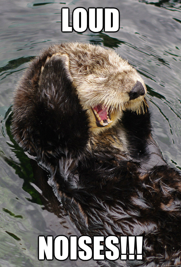 LOUD NOISES!!! - LOUD NOISES!!!  cant take it otter