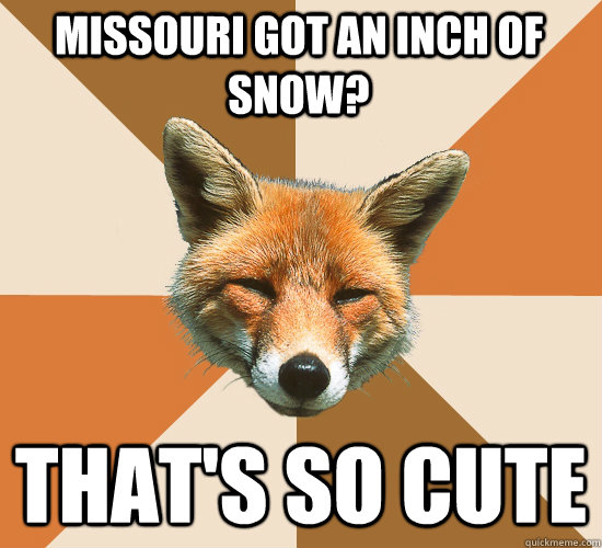 Missouri got an inch of snow? That's so cute  Condescending Fox