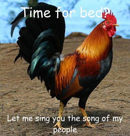 Time for bed? Let me sing you the song of my people  Damn Rooster