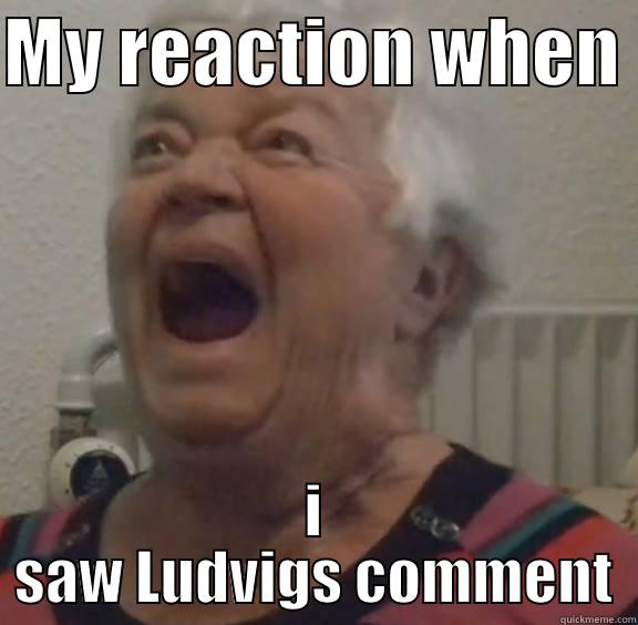 MY REACTION WHEN  I SAW LUDVIGS COMMENT Misc