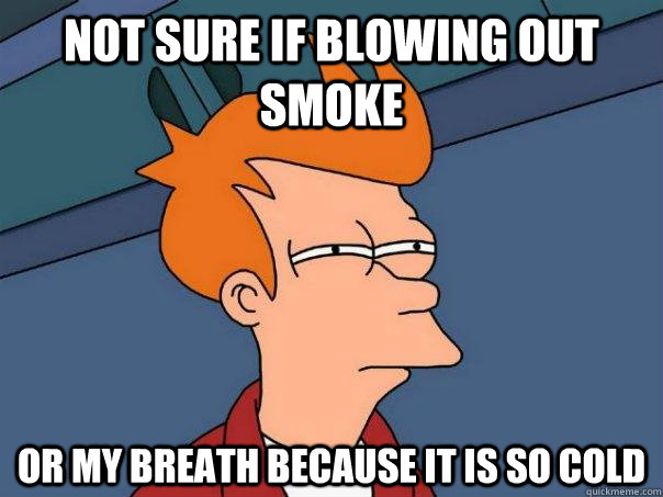 not sure if blowing out smoke or my breath because it is so cold  Futurama Fry