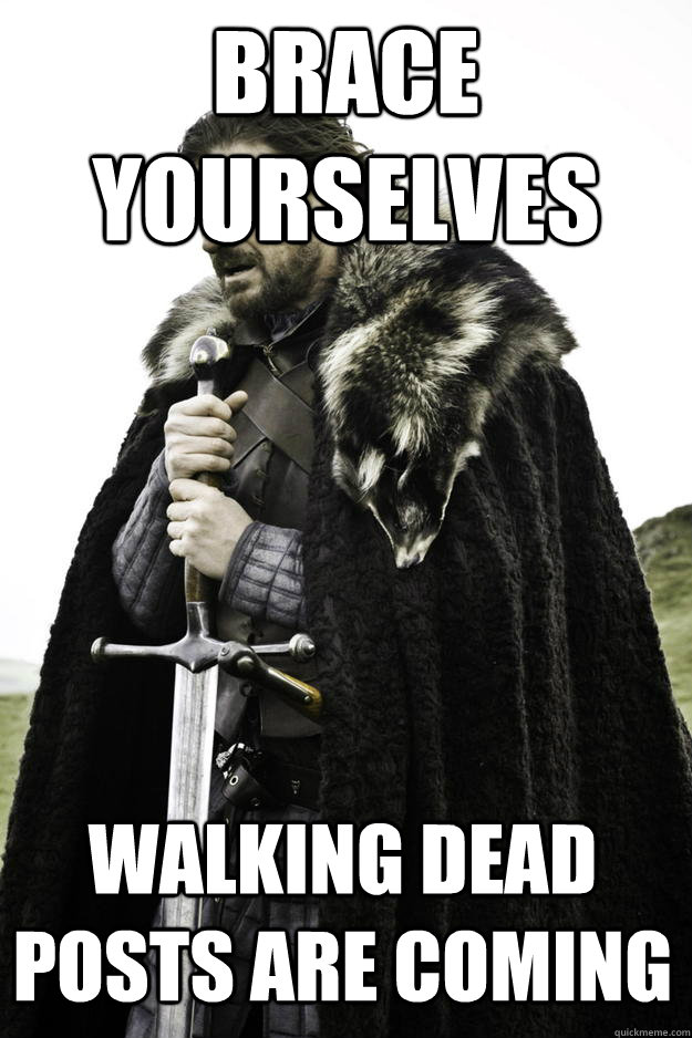 Brace Yourselves Walking dead posts are coming   Winter is coming