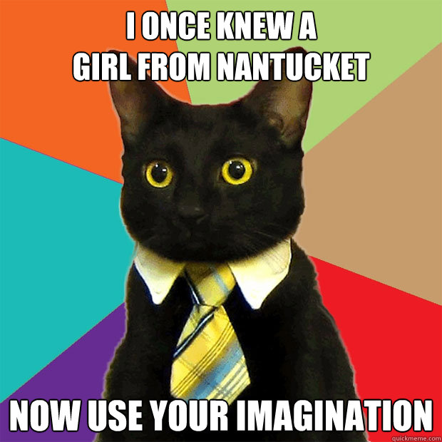 I Once knew a
girl from nantucket now use your imagination  Business Cat