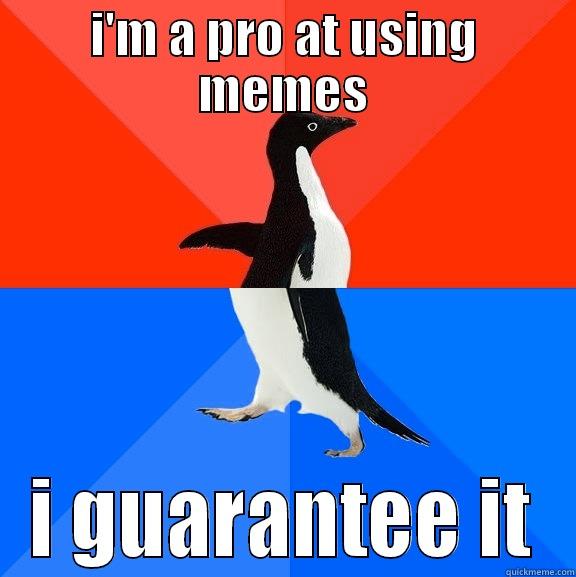 I'M A PRO AT USING MEMES I GUARANTEE IT Socially Awesome Awkward Penguin