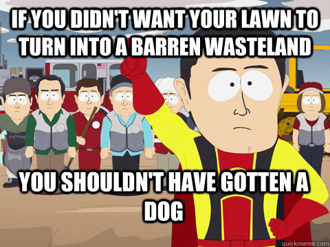 if you didn't want your lawn to turn into a barren wasteland you shouldn't have gotten a dog - if you didn't want your lawn to turn into a barren wasteland you shouldn't have gotten a dog  Captain Hindsight