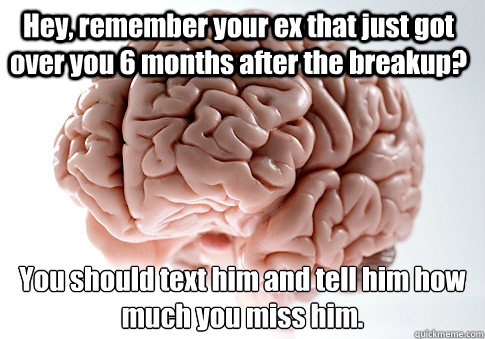 Hey, remember your ex that just got over you 6 months after the breakup? You should text him and tell him how much you miss him.   Scumbag Brain