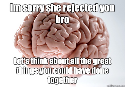 Im sorry she rejected you bro Let's think about all the great things you could have done together   Scumbag Brain