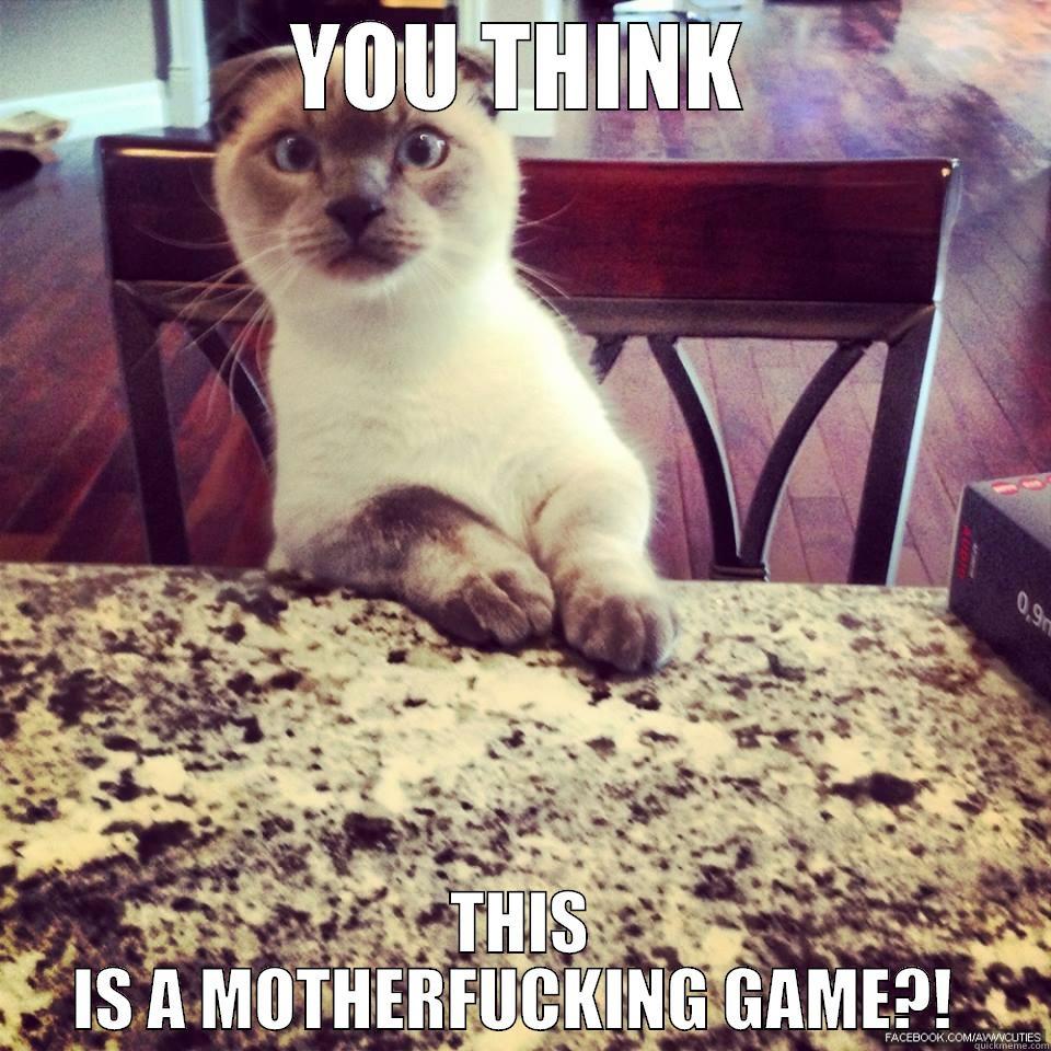 Serious Kitteh  - YOU THINK THIS IS A MOTHERFUCKING GAME?!  Misc