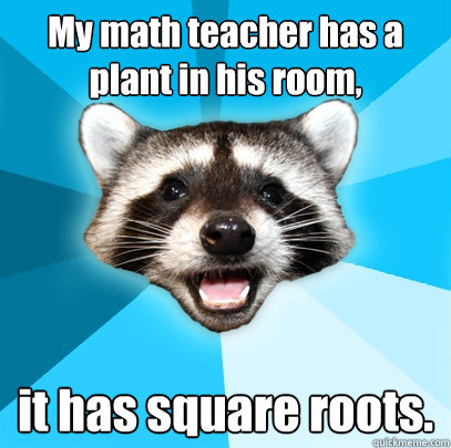 My math teacher has a plant in his room, it has square roots.  Lame Pun Coon