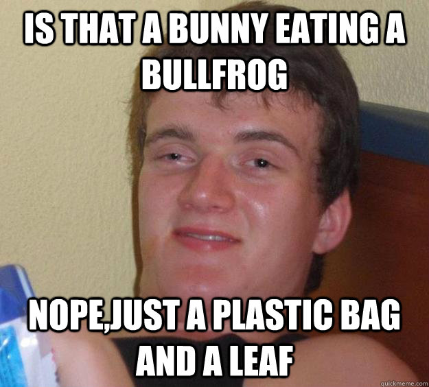 Is that a bunny eating a bullfrog nope,just a plastic bag and a leaf - Is that a bunny eating a bullfrog nope,just a plastic bag and a leaf  10 Guy