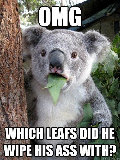 OMG Which leafs did he wipe his ass with?  koala bear