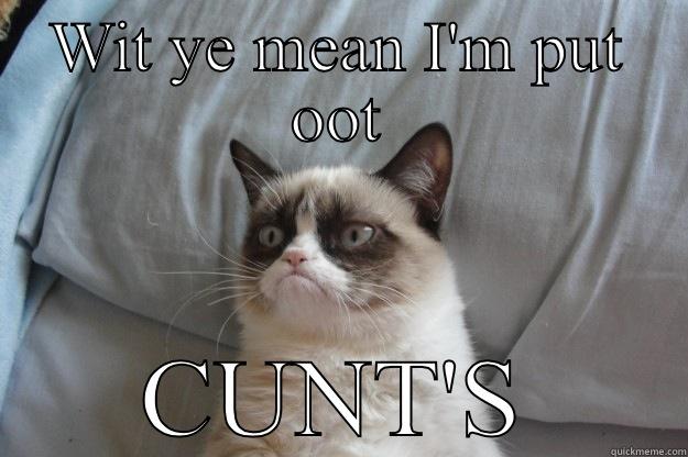 WIT YE MEAN I'M PUT OOT CUNT'S Grumpy Cat