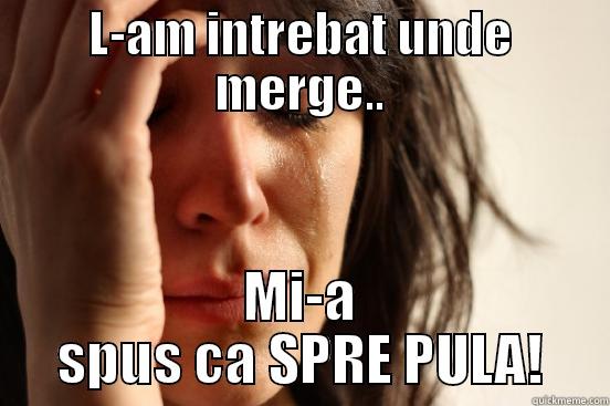 L-AM INTREBAT UNDE MERGE.. MI-A SPUS CA SPRE PULA! First World Problems