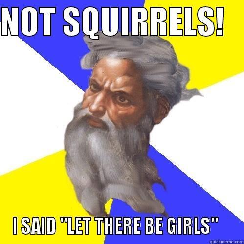 NOT SQUIRRELS!    I SAID 