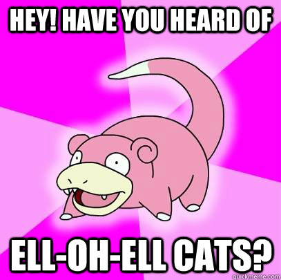 Hey! have you heard of Ell-Oh-Ell cats?  Slowpoke