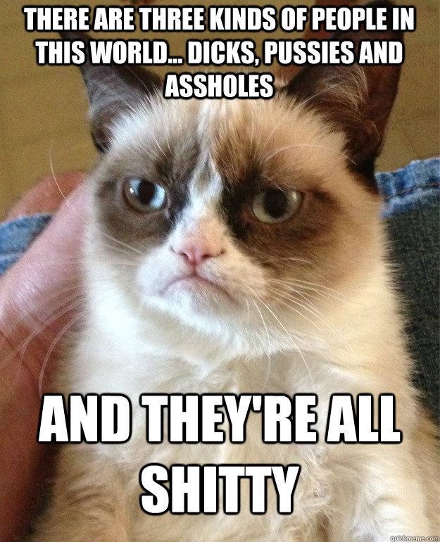 there are three kinds of people in this world... dicks, pussies and assholes and they're all shitty  Grumpy Cat