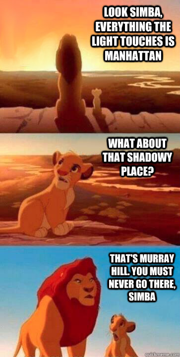 look simba, everything the light touches is Manhattan what about that shadowy place? that's Murray Hill. you must never go there, simba  SIMBA