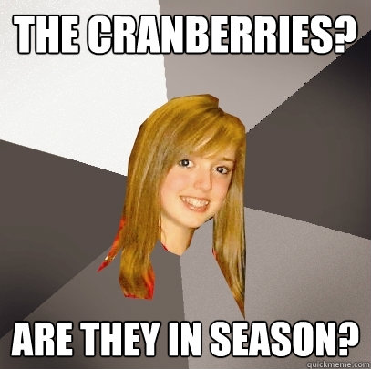 the Cranberries? are they in season? - the Cranberries? are they in season?  Musically Oblivious 8th Grader