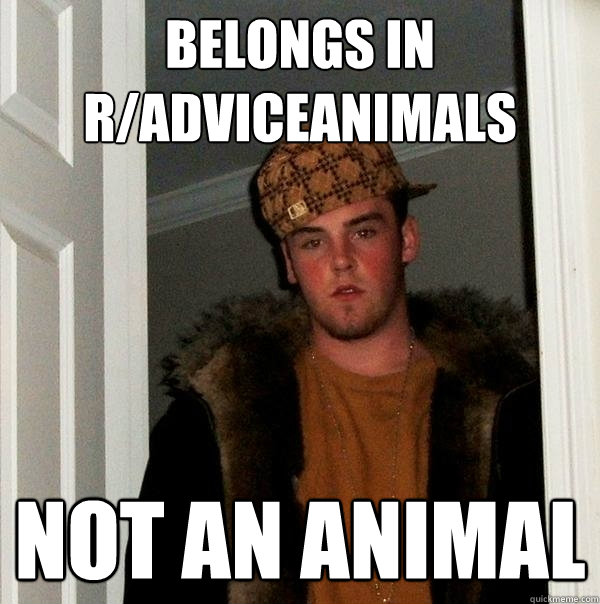 belongs in r/adviceanimals not an animal  Scumbag Steve